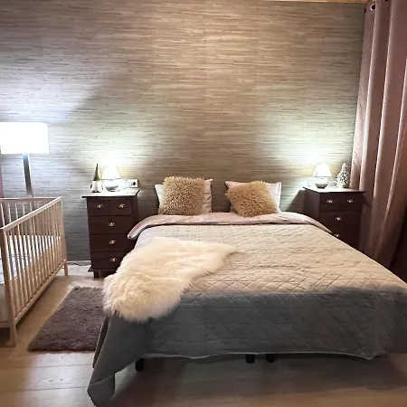 Linnunvilla With Sauna Apartment Rovaniemi